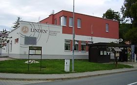 Linden Brno
